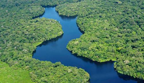 7 keajaiban alam hutan amazon