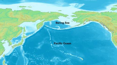 laut terluas di dunia laut bering