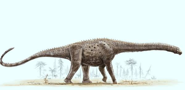 dinosaurus terbesar di dunia argentinosaurus