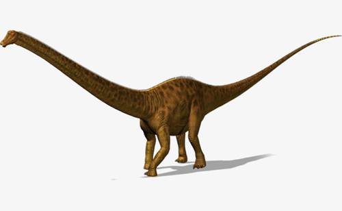 dinosaurus terbesar di dunia diplodocus