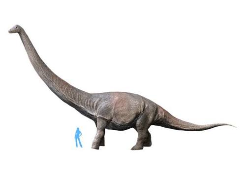 dinosaurus terbesar di dunia dreadnoughtus