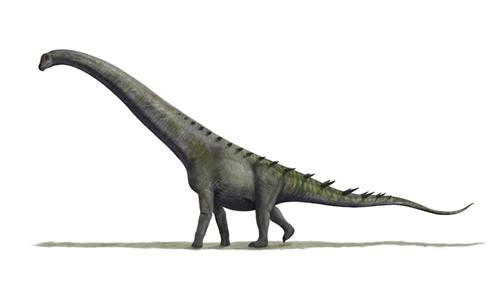 dinosaurus terbesar di dunia futalognkosaurus