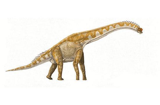 dinosaurus terbesar di dunia giraffitian