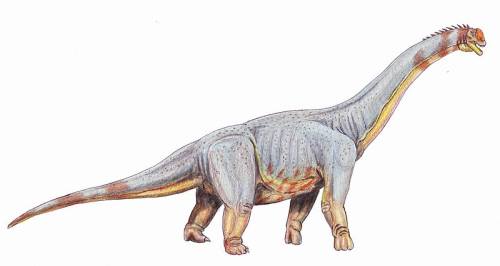 dinosaurus terbesar di dunia paralititan