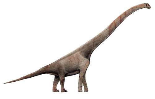 dinosaurus terbesar di dunia sauroposeidon