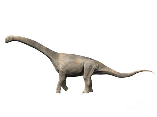 dinosaurus terbesar di dunia turiasaurus